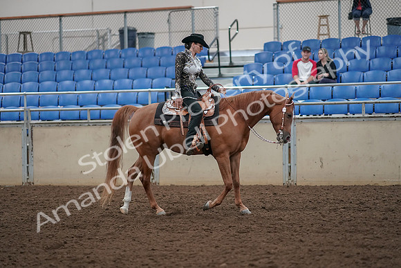 2019 Morgan Horse Show - Aug 30, 2019 - 26223
