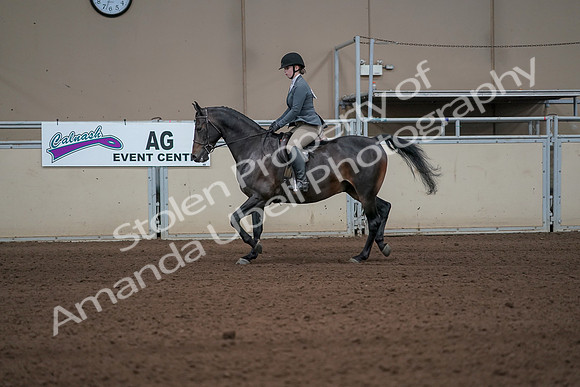 2019 Morgan Horse Show - Sept 01, 2019 - 10925
