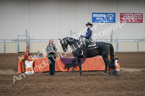 2020 - AB Morgan Horse - Sun, Sept 06 - 07630
