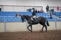 2019 Morgan Horse Show - Aug 31, 2019 - 14633