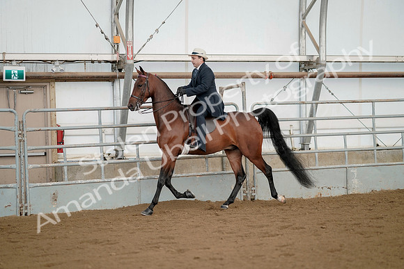 July 21, 2019 - 01660