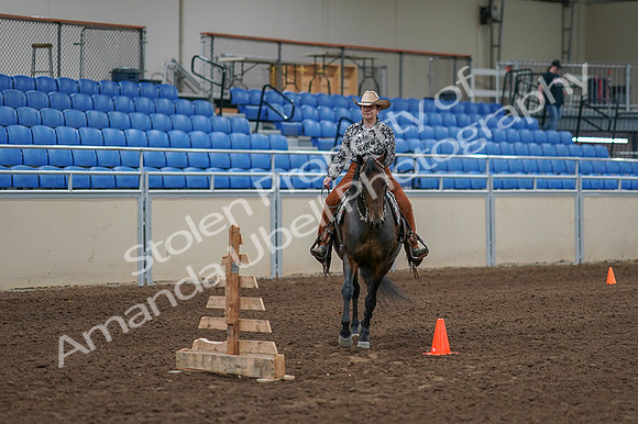 2020 - AB Morgan Horse - Fri, Sept 04 - 00080