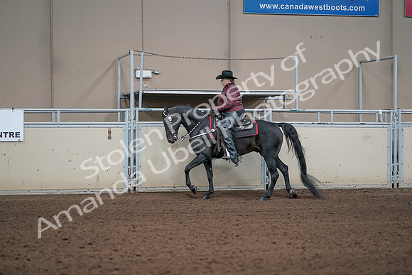 2019 Morgan Horse Show - Aug 31, 2019 - 10606