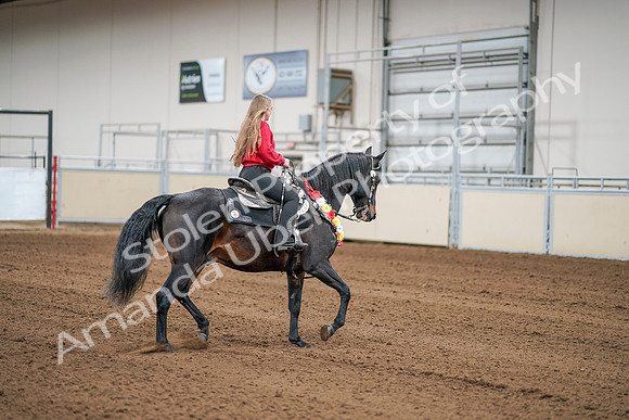 2020 - AB Morgan Horse - Sat, Sept 05 - 10442