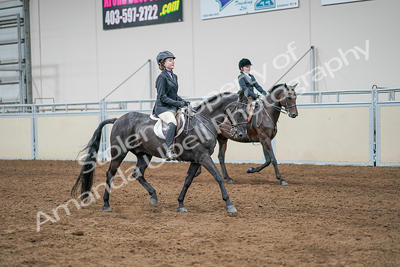 2020 - AB Morgan Horse - Sun, Sept 06 - 08141