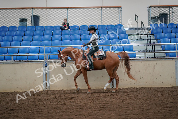 2019 Morgan Horse Show - Aug 30, 2019 - 16856