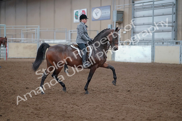 2019 Morgan Horse Show - Aug 30, 2019 - 20670
