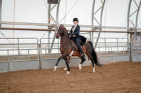 Class 063 - ASB English Three-Gaited Show Pleasure - Junior Exhibitor