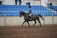 2019 Morgan Horse Show - Sept 01, 2019 - 10887