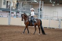 2020 - AB Morgan Horse - Fri, Sept 04 - 08237