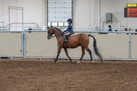 2020 - AB Morgan Horse - Sat, Sept 05 - 01732