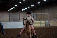 2019 Morgan Horse Show - Aug 30, 2019 - 31025
