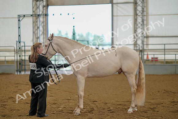 July 19, 2019 - 341