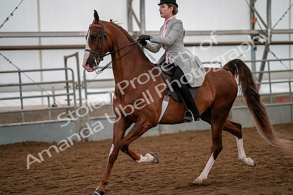 July 19, 2019 - 10568