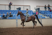 2019 Morgan Horse Show - Aug 31, 2019 - 07657