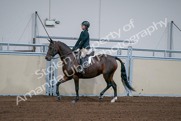 2020 - AB Morgan Horse - Fri, Sept 04 - 01662