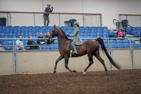 2019 Morgan Horse Show - Aug 31, 2019 - 07661