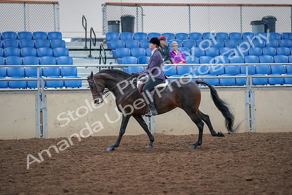 2019 Morgan Horse Show - Aug 30, 2019 - 20589
