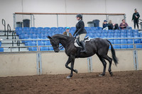 2019 Morgan Horse Show - Aug 31, 2019 - 14639