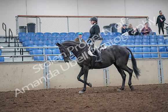 2019 Morgan Horse Show - Aug 31, 2019 - 14639