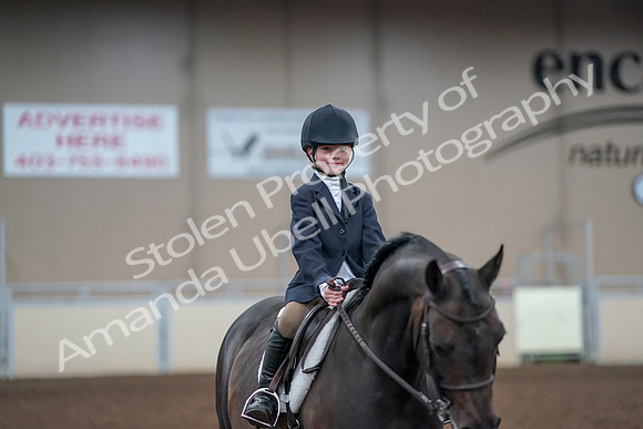2019 Morgan Horse Show - Aug 31, 2019 - 19713