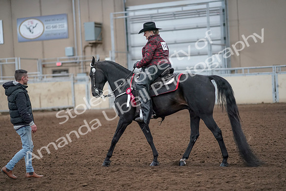 2019 Morgan Horse Show - Aug 31, 2019 - 10832