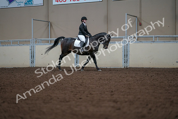 2019 Morgan Horse Show - Aug 30, 2019 - 18626