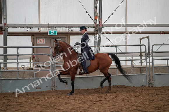 July 19, 2019 - 12992