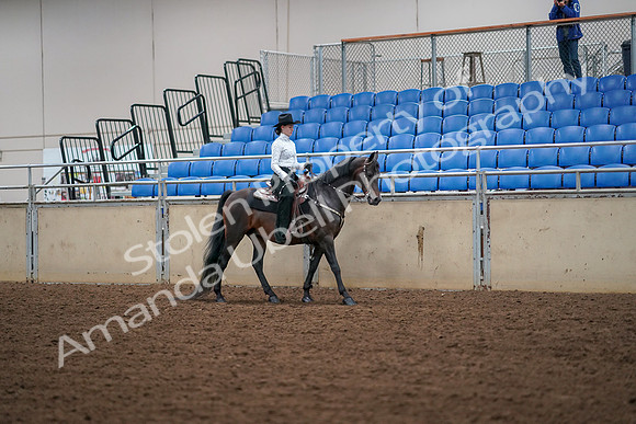 2019 Morgan Horse Show - Aug 30, 2019 - 17081