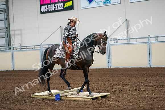 2020 - AB Morgan Horse - Fri, Sept 04 - 00324