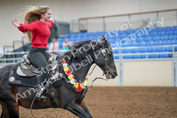 2020 - AB Morgan Horse - Sat, Sept 05 - 10561