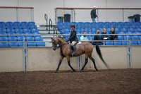2019 Morgan Horse Show - Aug 31, 2019 - 08054