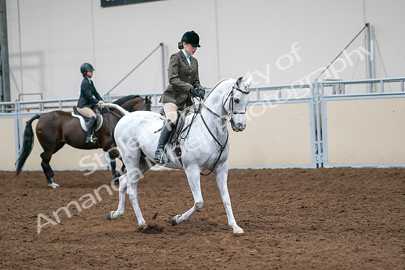2020 - AB Morgan Horse - Sat, Sept 05 - 14527