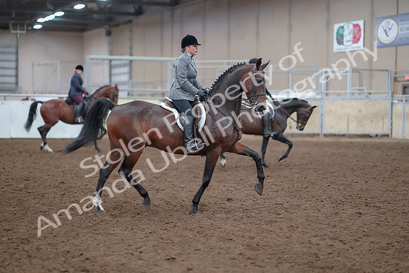 2019 Morgan Horse Show - Aug 30, 2019 - 20657