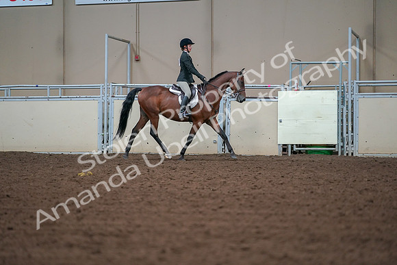 2019 Morgan Horse Show - Aug 30, 2019 - 20855