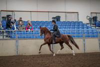 2019 Morgan Horse Show - Aug 30, 2019 - 26486