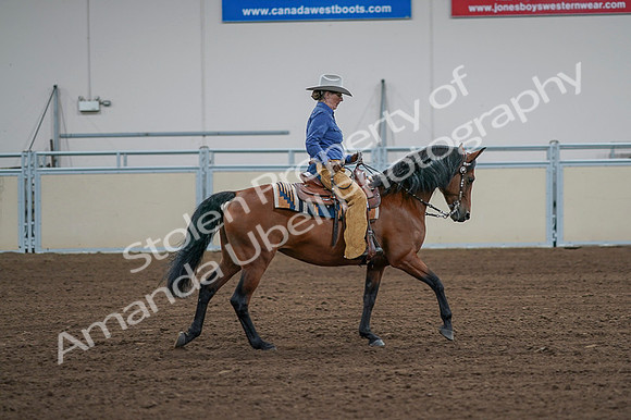 2020 - AB Morgan Horse - Fri, Sept 04 - 00117