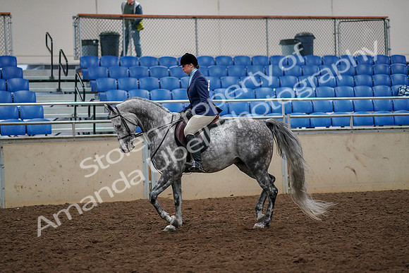 2019 Morgan Horse Show - Aug 30, 2019 - 22191