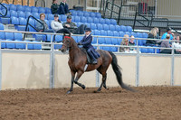 2020 - AB Morgan Horse - Sat, Sept 05 - 04757