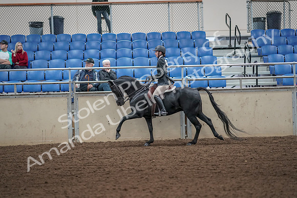 2019 Morgan Horse Show - Aug 31, 2019 - 05070