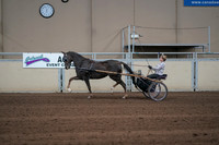 2019 Morgan Horse Show - Sept 01, 2019 - 05917