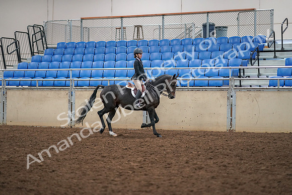 2019 Morgan Horse Show - Aug 30, 2019 - 12436