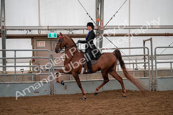 July 19, 2019 - 10482