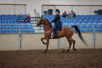 2019 Morgan Horse Show - Aug 30, 2019 - 28371