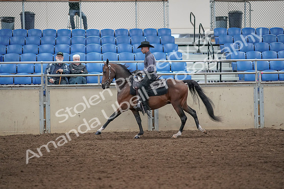 2019 Morgan Horse Show - Aug 31, 2019 - 06110