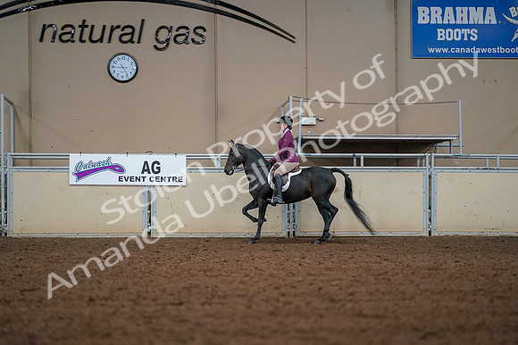2019 Morgan Horse Show - Aug 30, 2019 - 23258