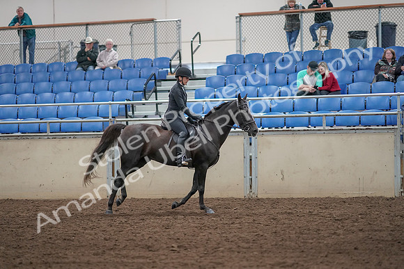 2019 Morgan Horse Show - Aug 31, 2019 - 07547