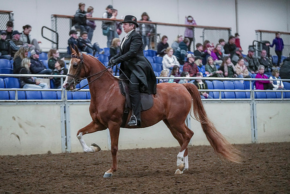 Spring Fling - Saturday - April 20, 2019  -  00623