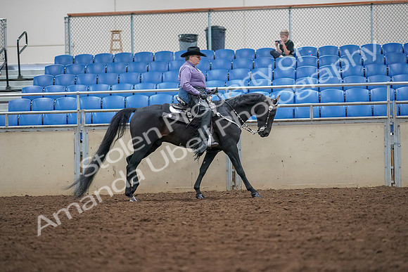 2019 Morgan Horse Show - Aug 30, 2019 - 16939