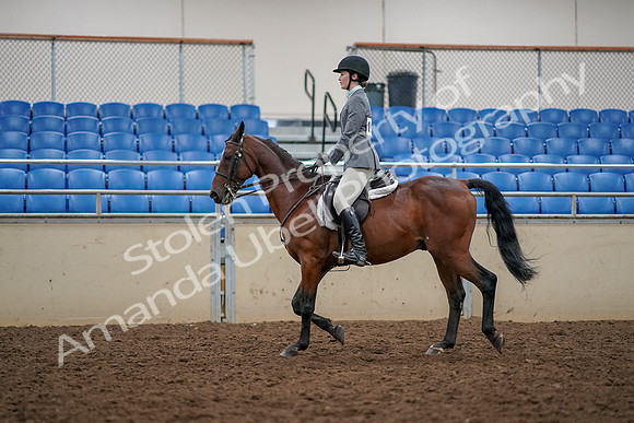2019 Morgan Horse Show - Aug 30, 2019 - 23372